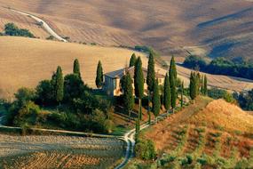 Tuscany Landscape