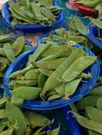 fresh leaves