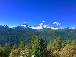 Mountain Forest Wilderness