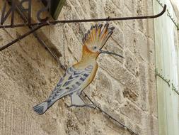 metallic exotic bird with a tuft and a long beak