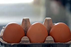 Three raw eggs