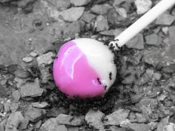 Chupa Chups Piruleta Candy