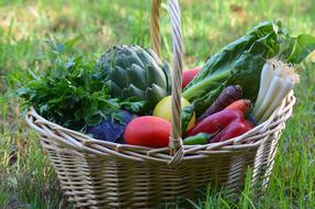 Healthy vegetables in a basket