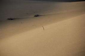 Desert Sand Surface