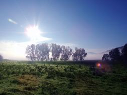 Trees Sunrise Landscape