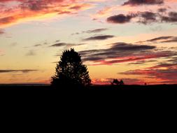 Dawn Camino Santiago Landscape Way