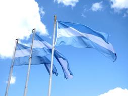 Flag Argentina National