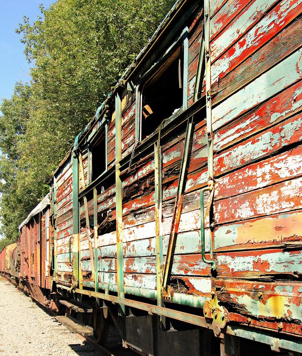 colored wooden wagon in the forest
