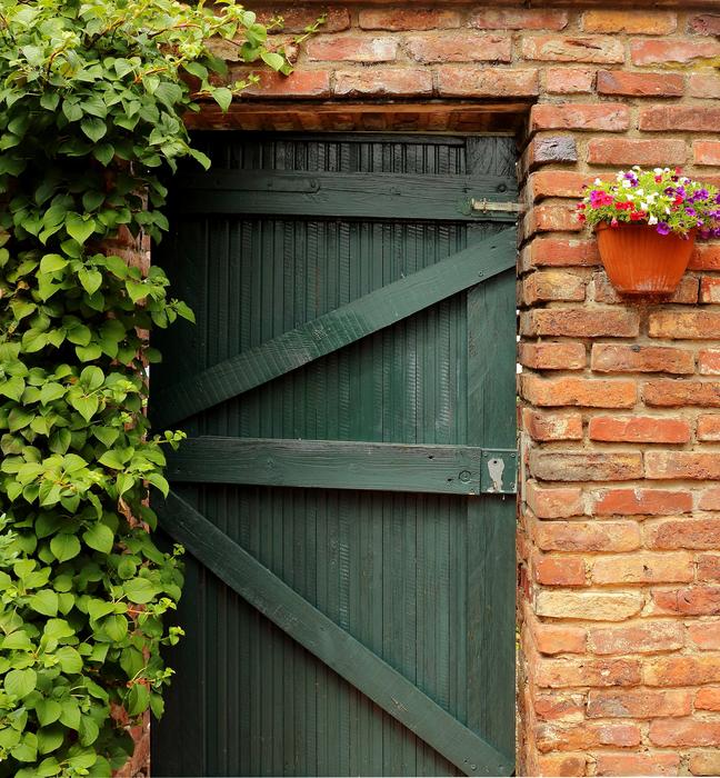 green wooden door in the building