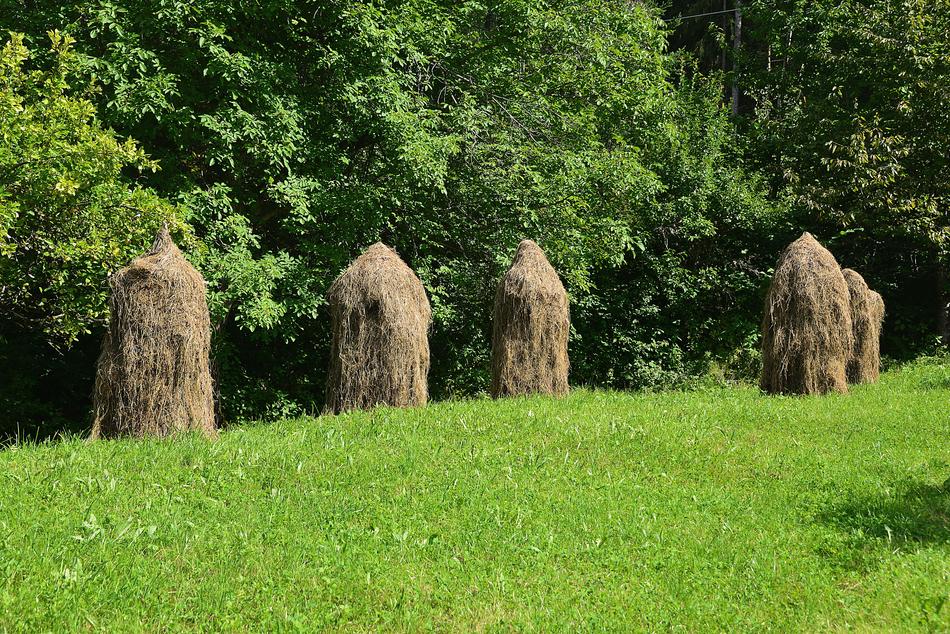 hay bales in a green meadow