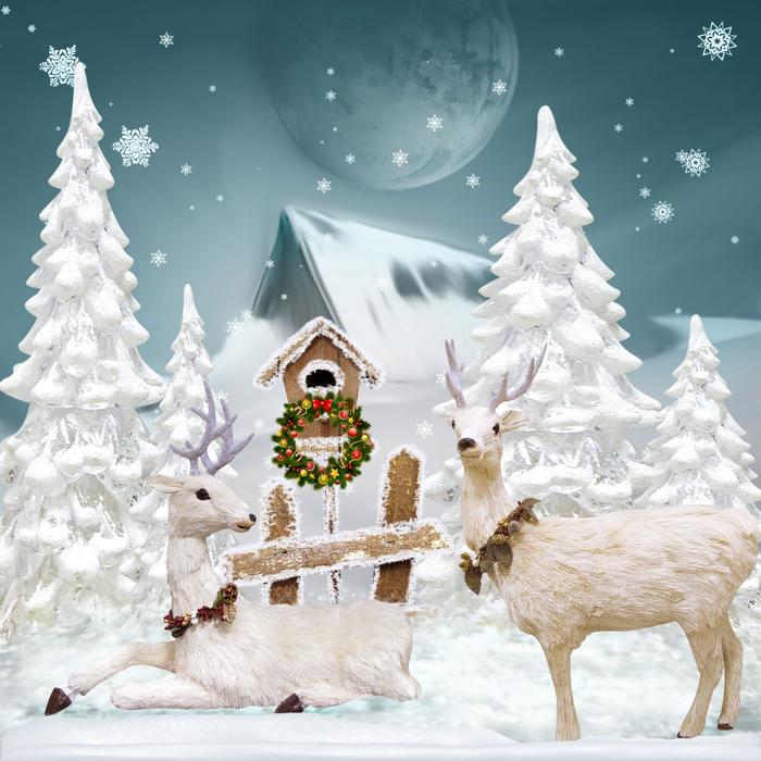Christmas card with reindeer white