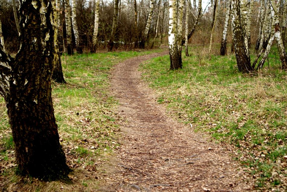 Way Trodden Spring