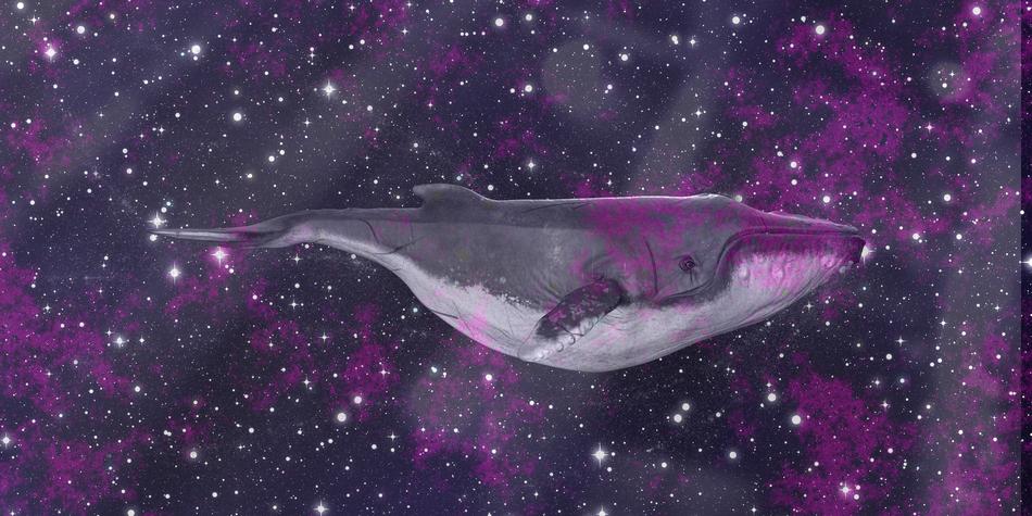 whale in space science fiction art