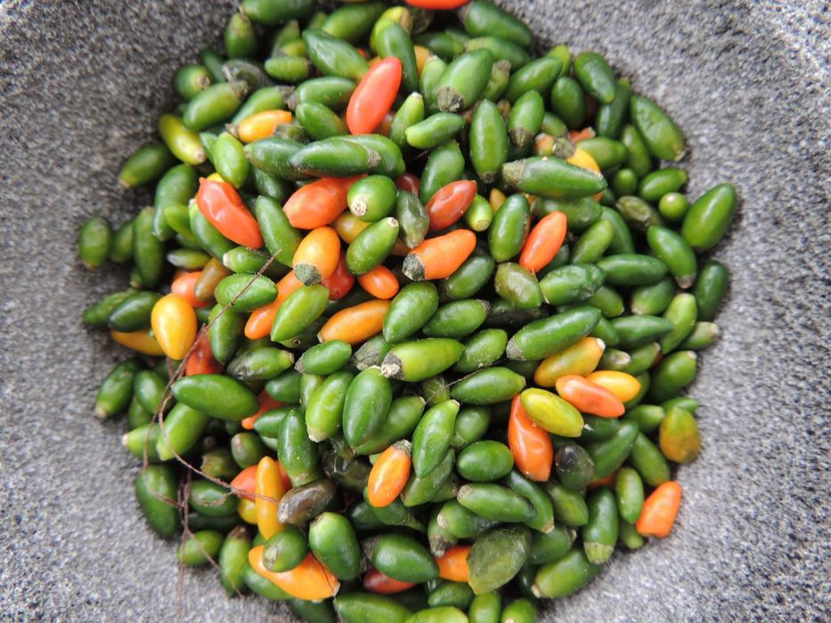 flower beans in a plate