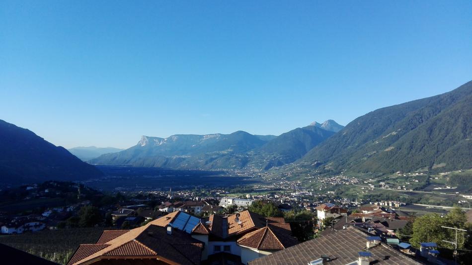panoramic mountain view with plants