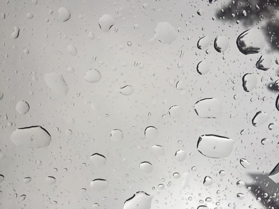 Rain Glass Tree