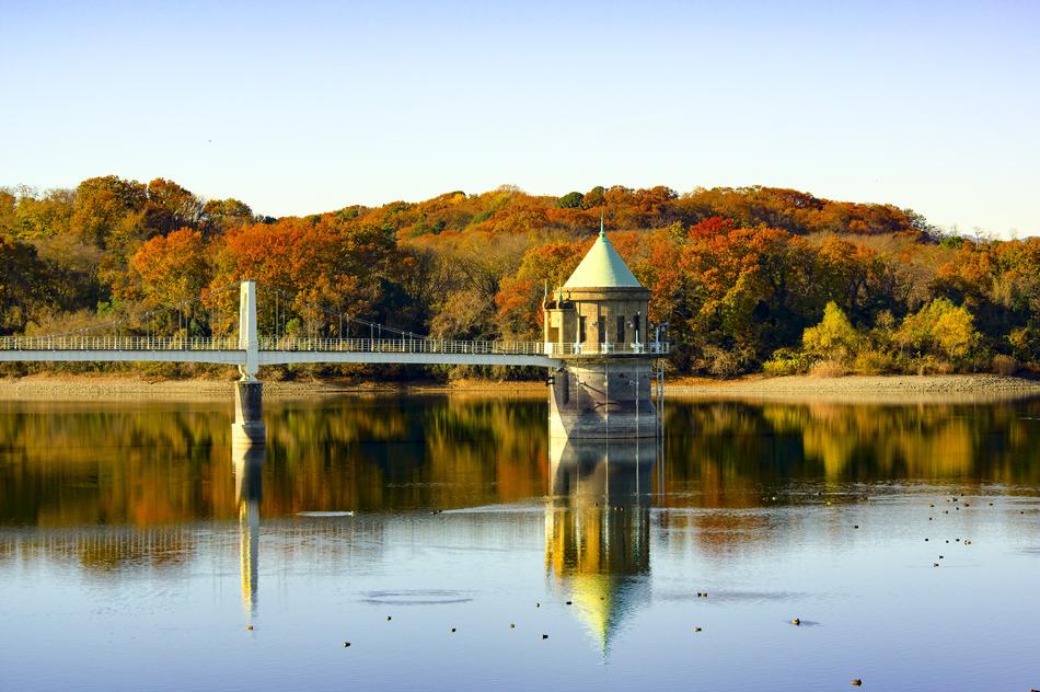 Japan Sayama Lake