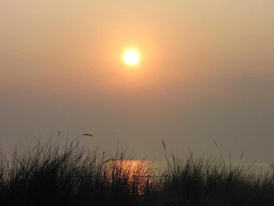 Morgenstimmung Sun Yellow