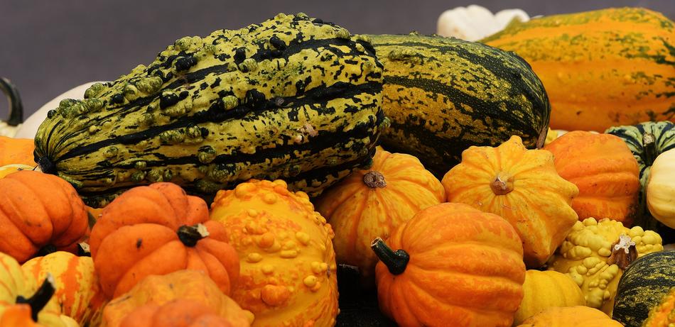 Pumpkins Autumn Decoration