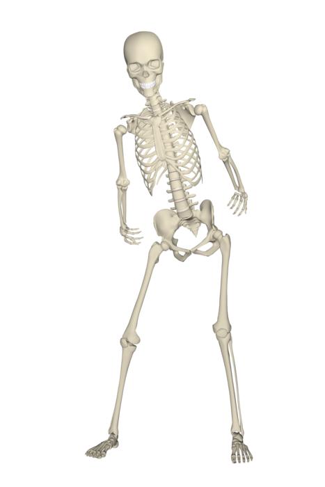 skeleton weis fall run stumble