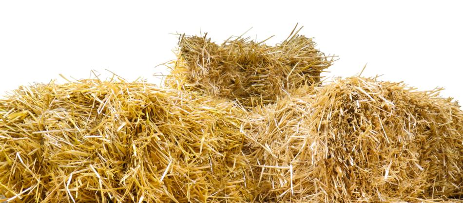 old yellow straw