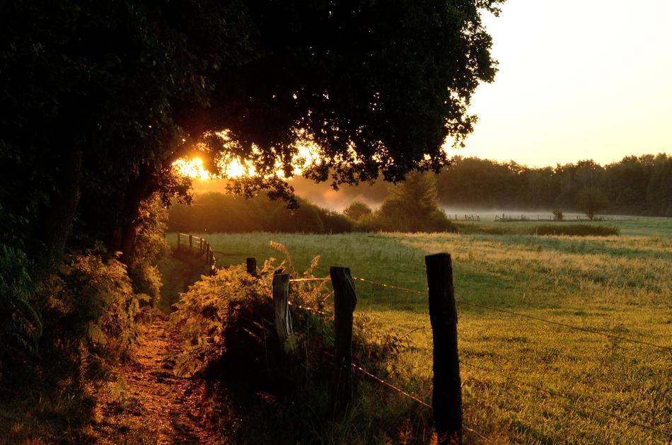 Duvenstedter Brook Sunrise