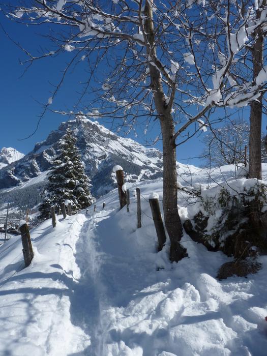 Snow Winter Mountain