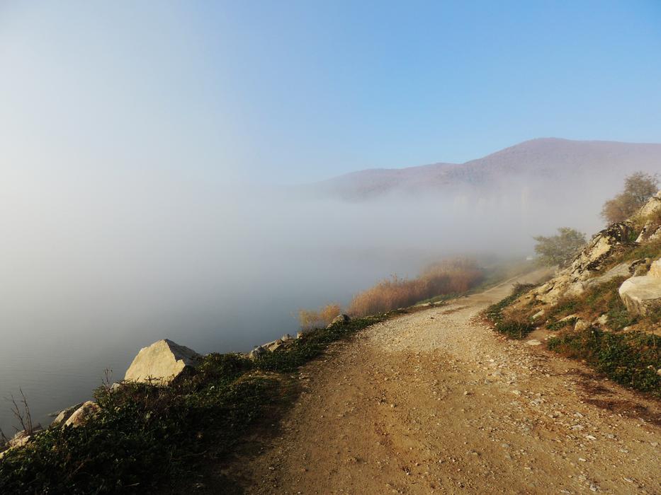 Road Fog Morning