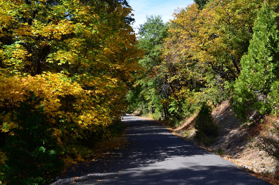Country Road Mountain Highway