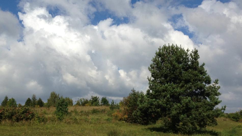 Clouds Landscape Sky