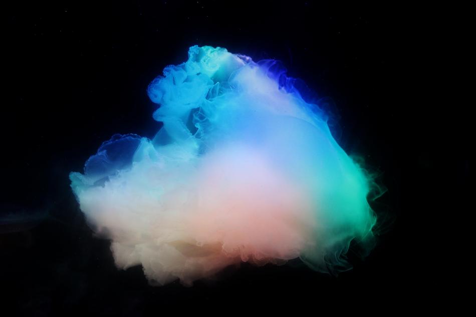 Jellyfish Nature