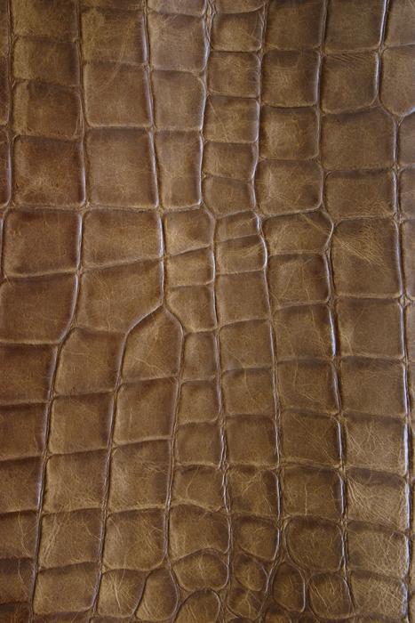 Brown Leather Structure