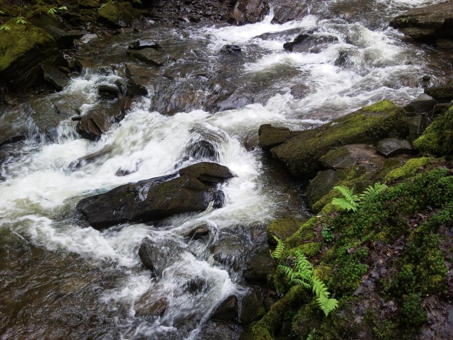 Nature Water River