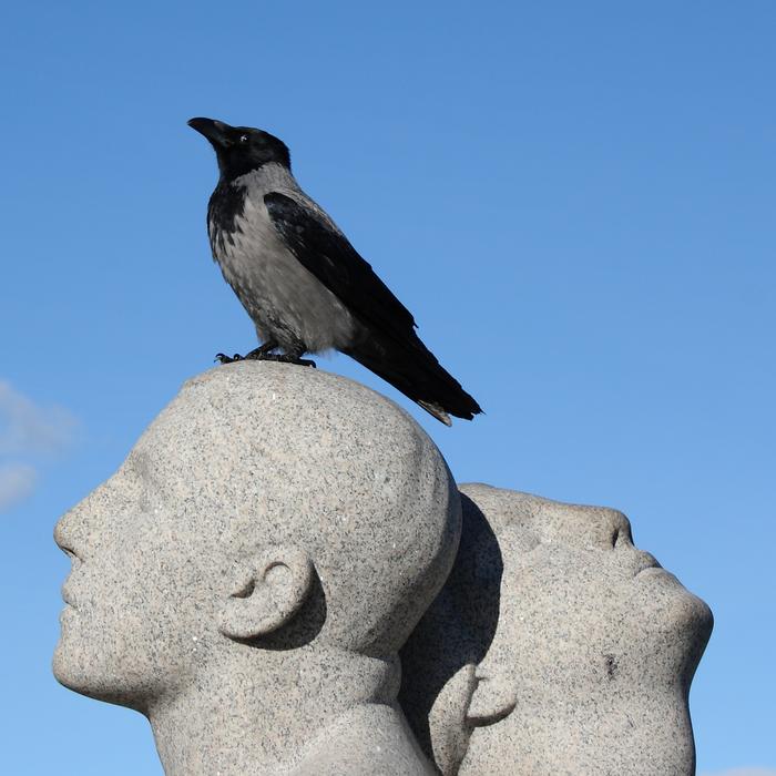 bird on head sculpture in oslo