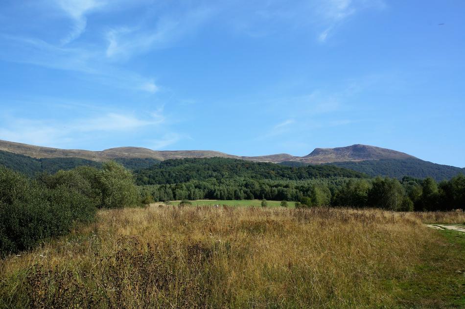 grass Mountains of Bieszczady Polonina