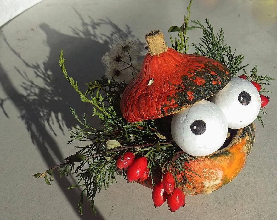 Pumpkin Autumn Harvest