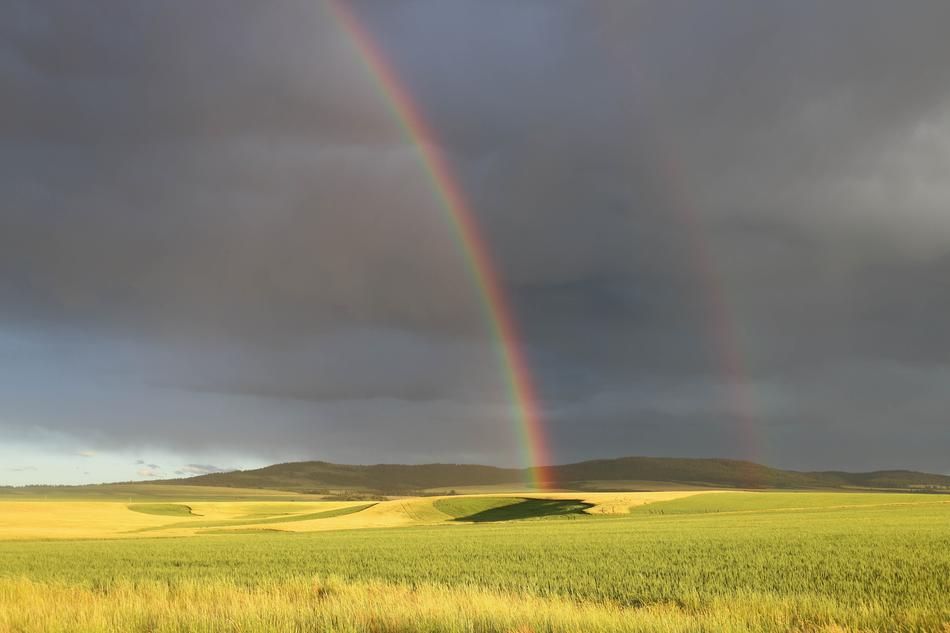 Rainbow Idaho Oudoors