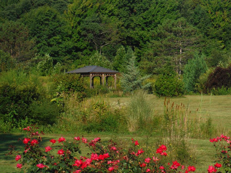 Pagoda Flowers Nature