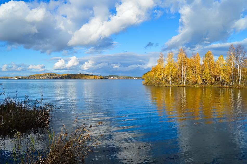 yellow autumn trees by the pond, russia