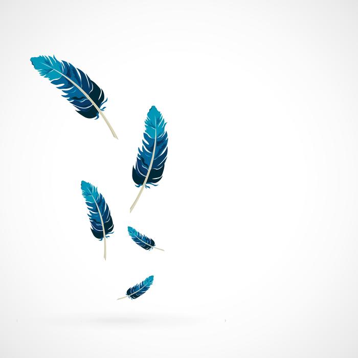 blue feathers on a white background