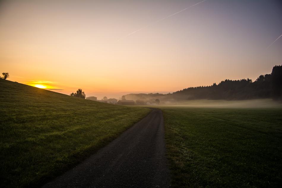 Path Road Morning