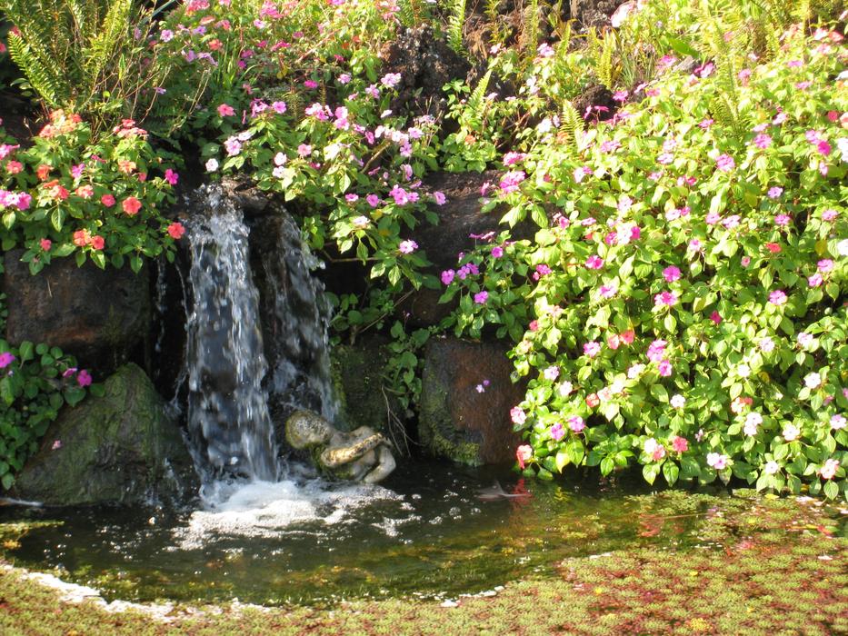 Waterfall Pond Nature