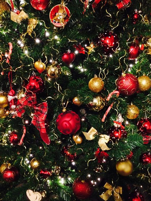 Christmas Fir Tree