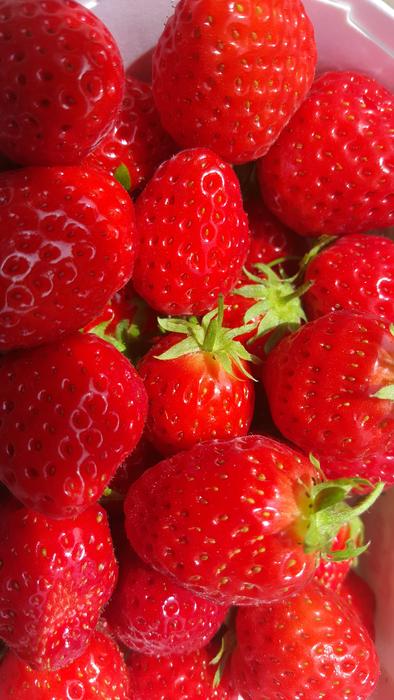 Strawberries Fruits Red