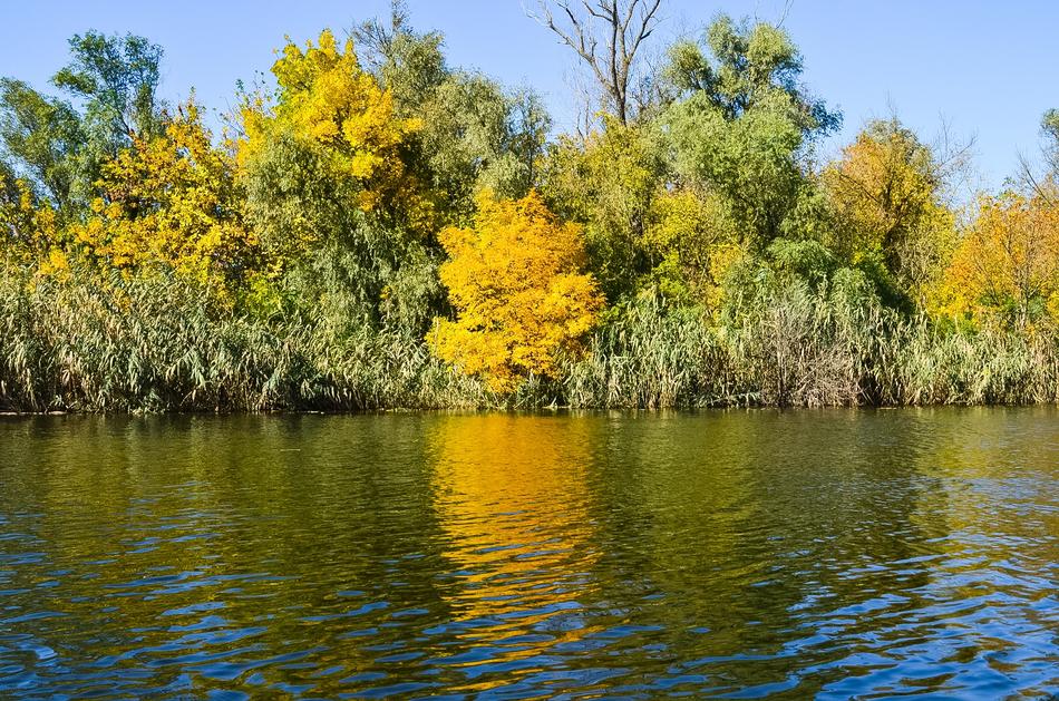Autumn Dnieper Nature