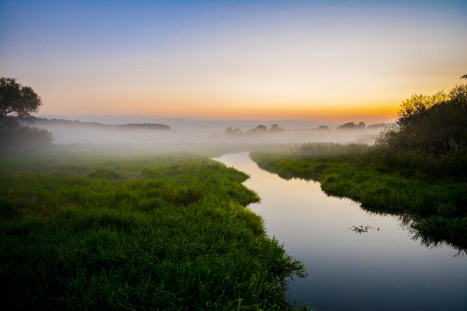 Nature River Behind