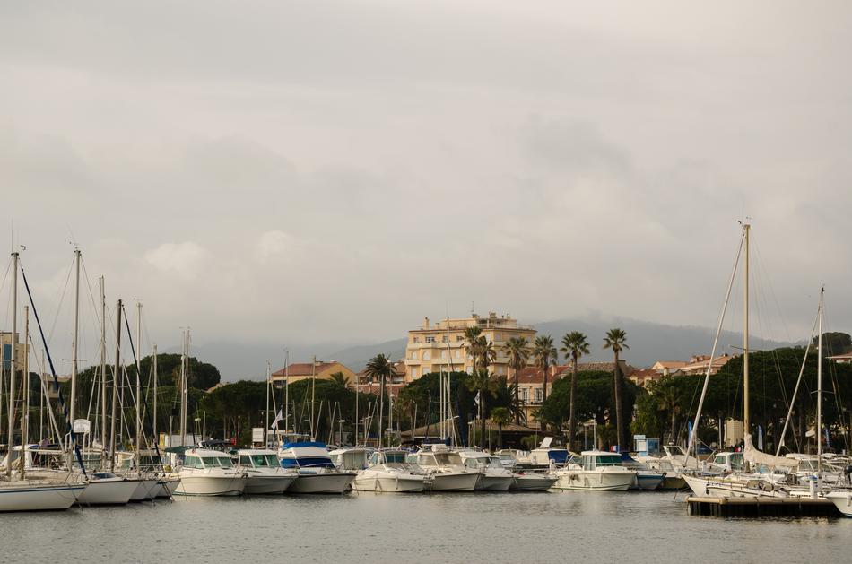 fish boats on the pier