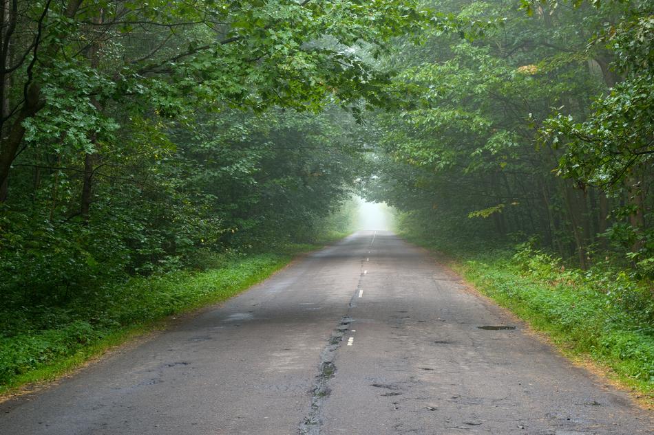 Road The Way Motion