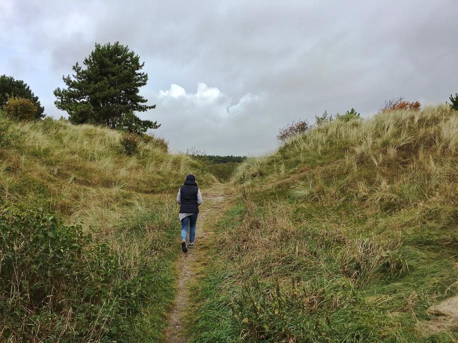 Dunes Ameland Holland