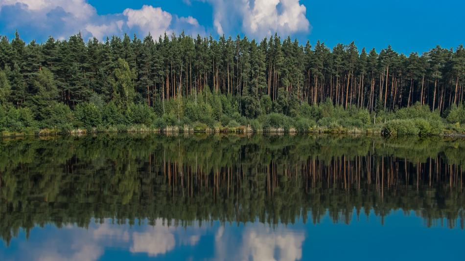 Lake Pond Water